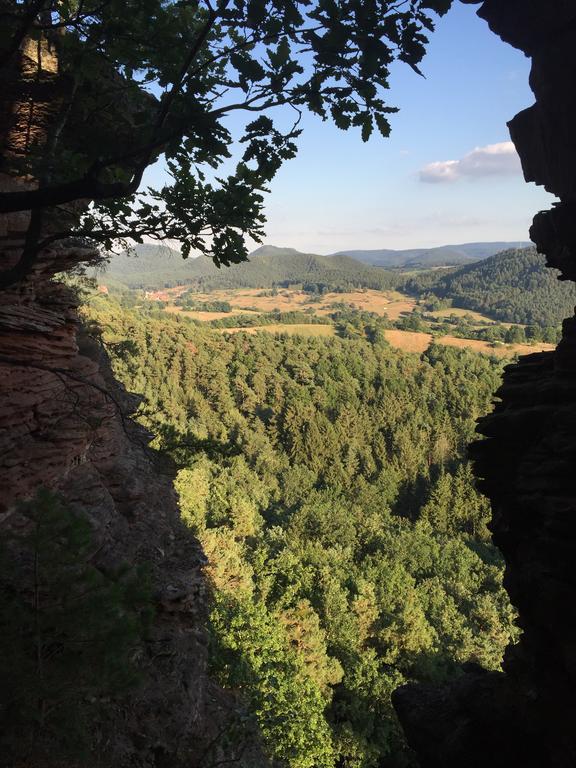 Fewo-Franca Dahn Kültér fotó